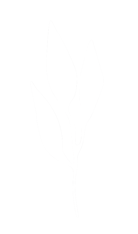 葉っぱのイラスト1
