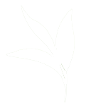 葉っぱのイラスト1