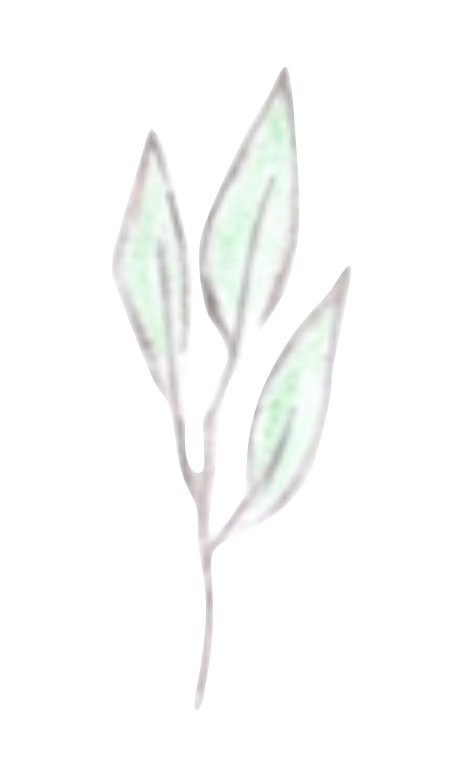 葉っぱのイラスト1