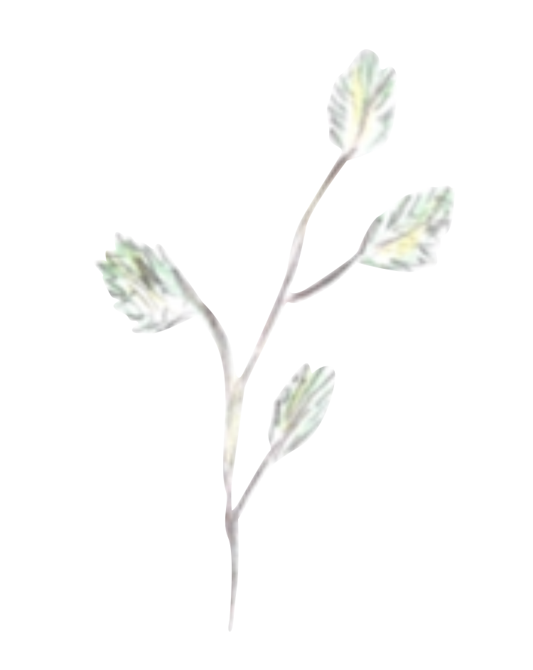 葉っぱのイラスト2