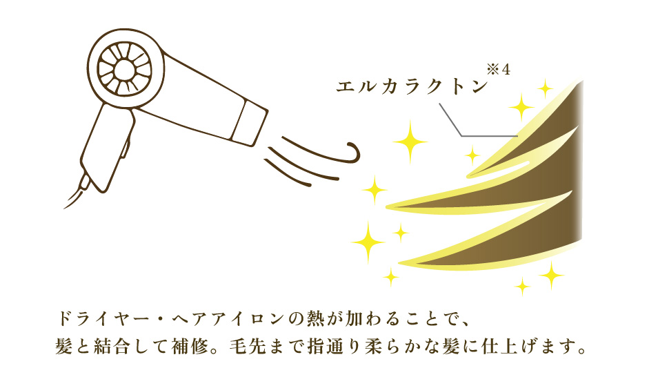 毛髪内部の補修